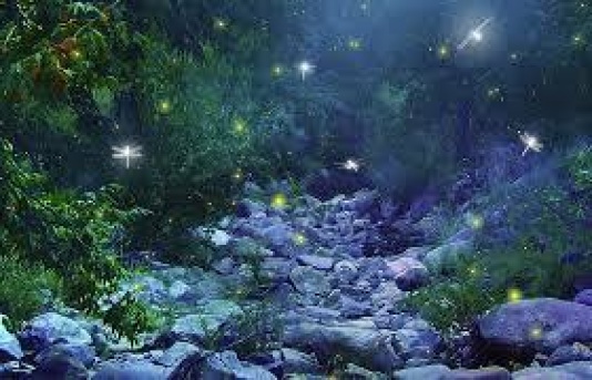 magia