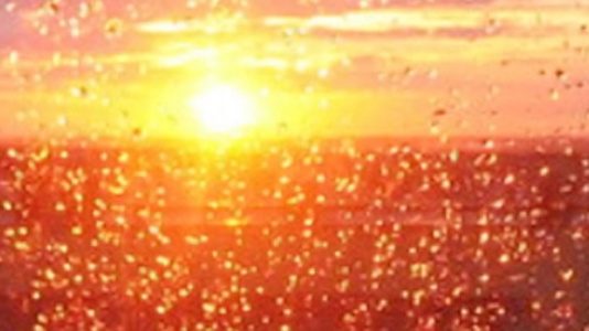 sole e pioggia